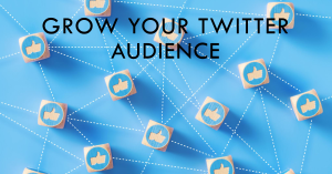 Read more about the article Best Twitter Marketing Tools for Growing Your Audience in 2024